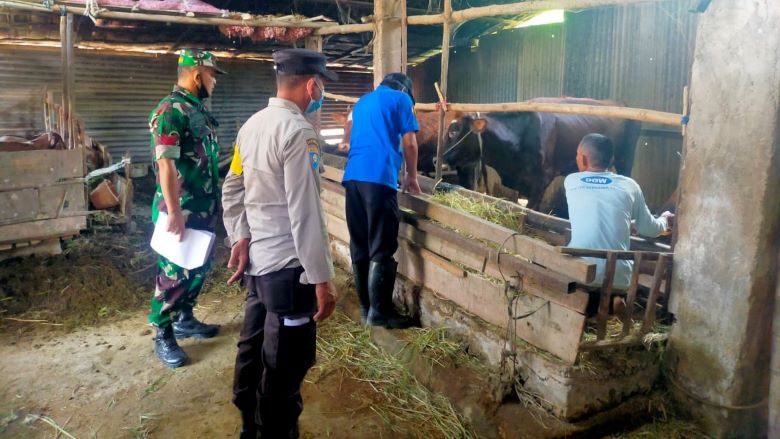 Giat Vaksinasi Sapi Untuk Cegah PMK di Desa Babadan Lor